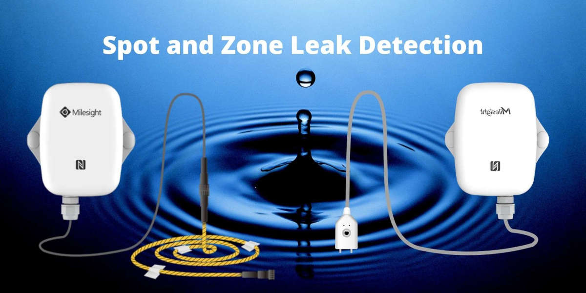 LoRaWAN Leak Detection